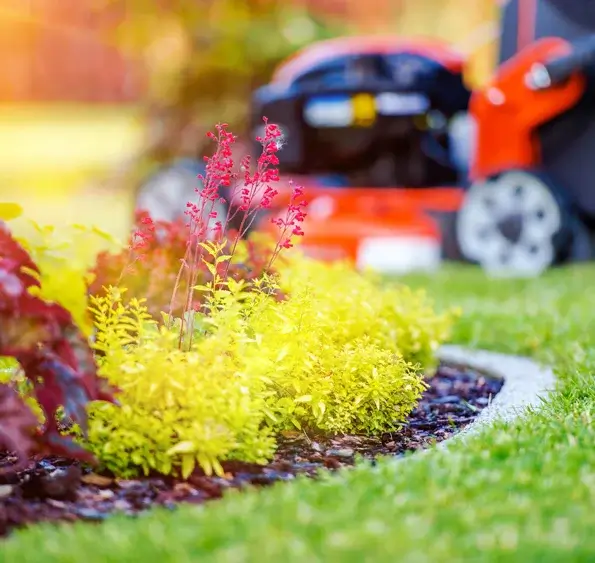 Doctor's Lawn & Landscape