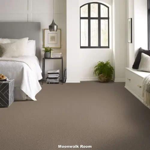 Hank's Carpet