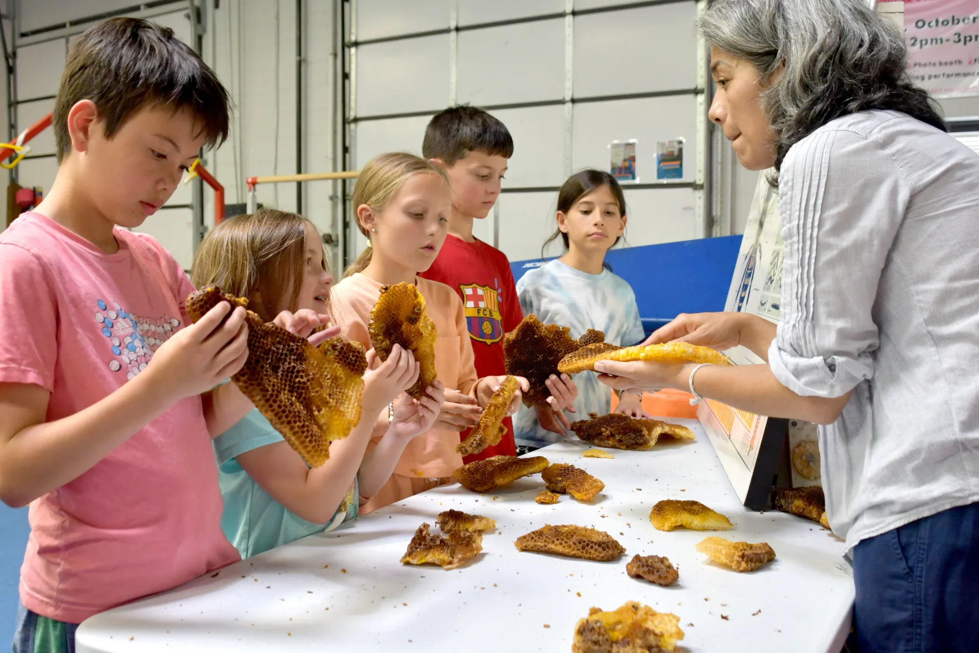 Fitwize 4 Kids Ashburn