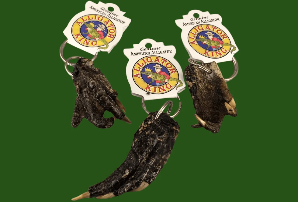 Natural Selections International Inc.