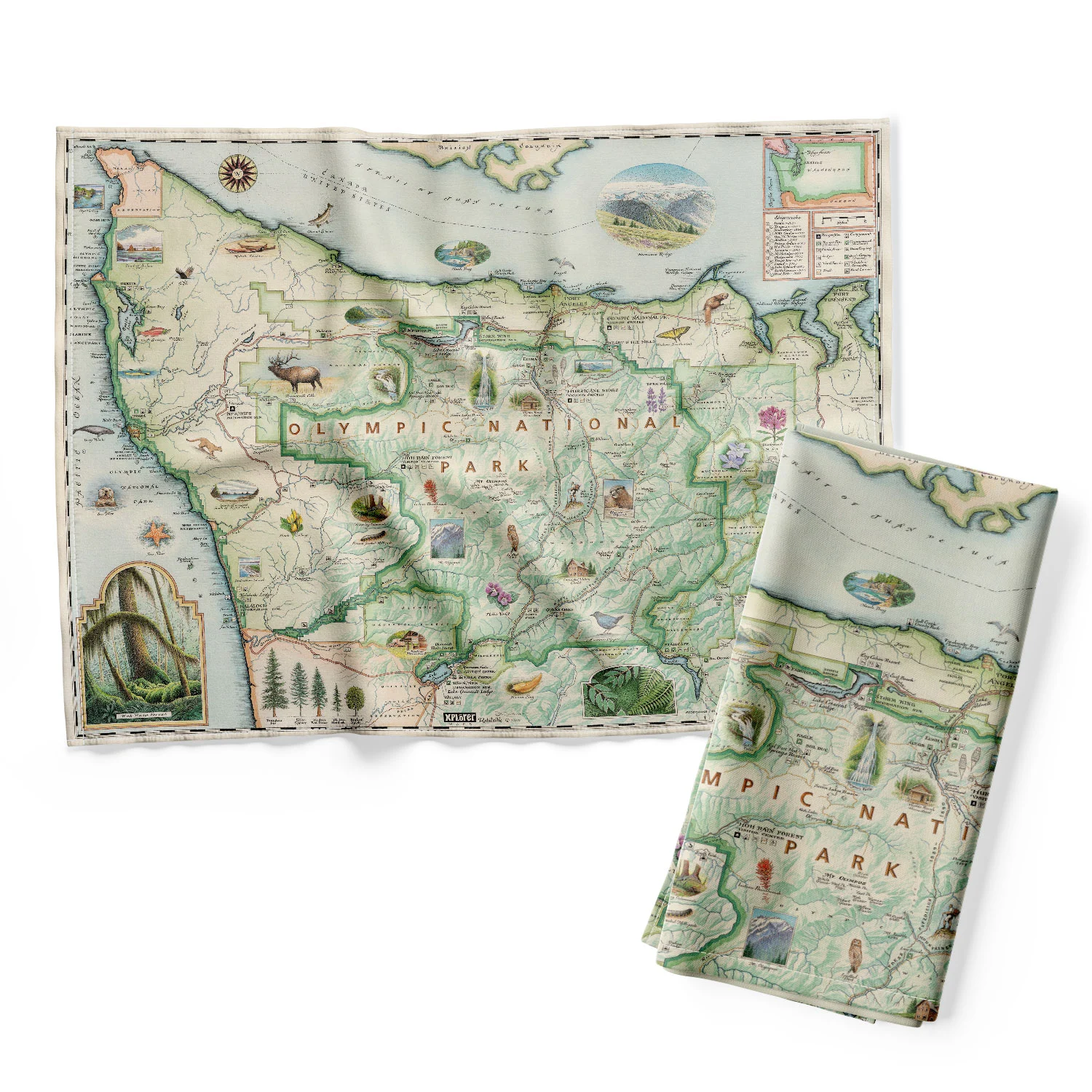 Xplorer Maps