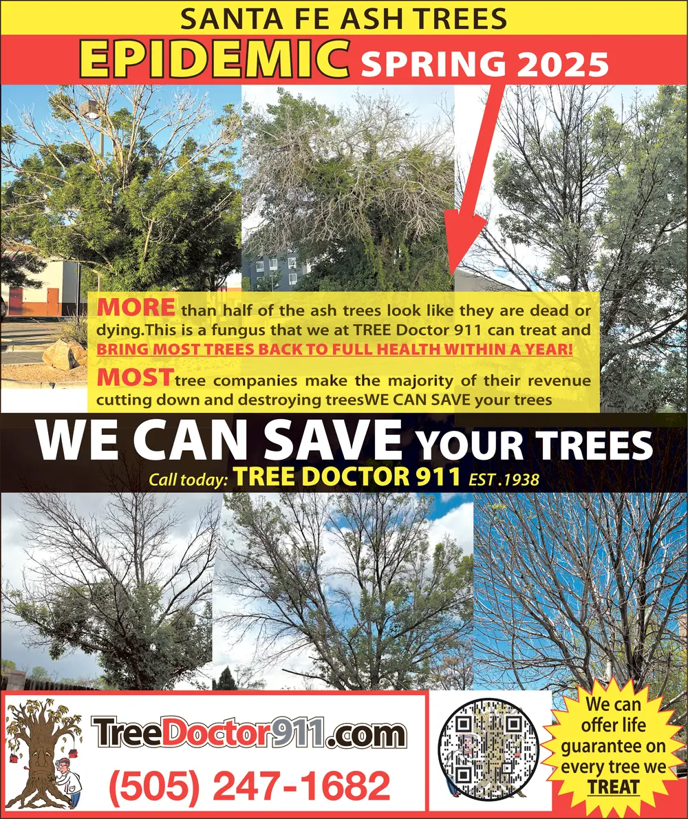 Tree Care and Restoration in Santa Fe, New Mexico