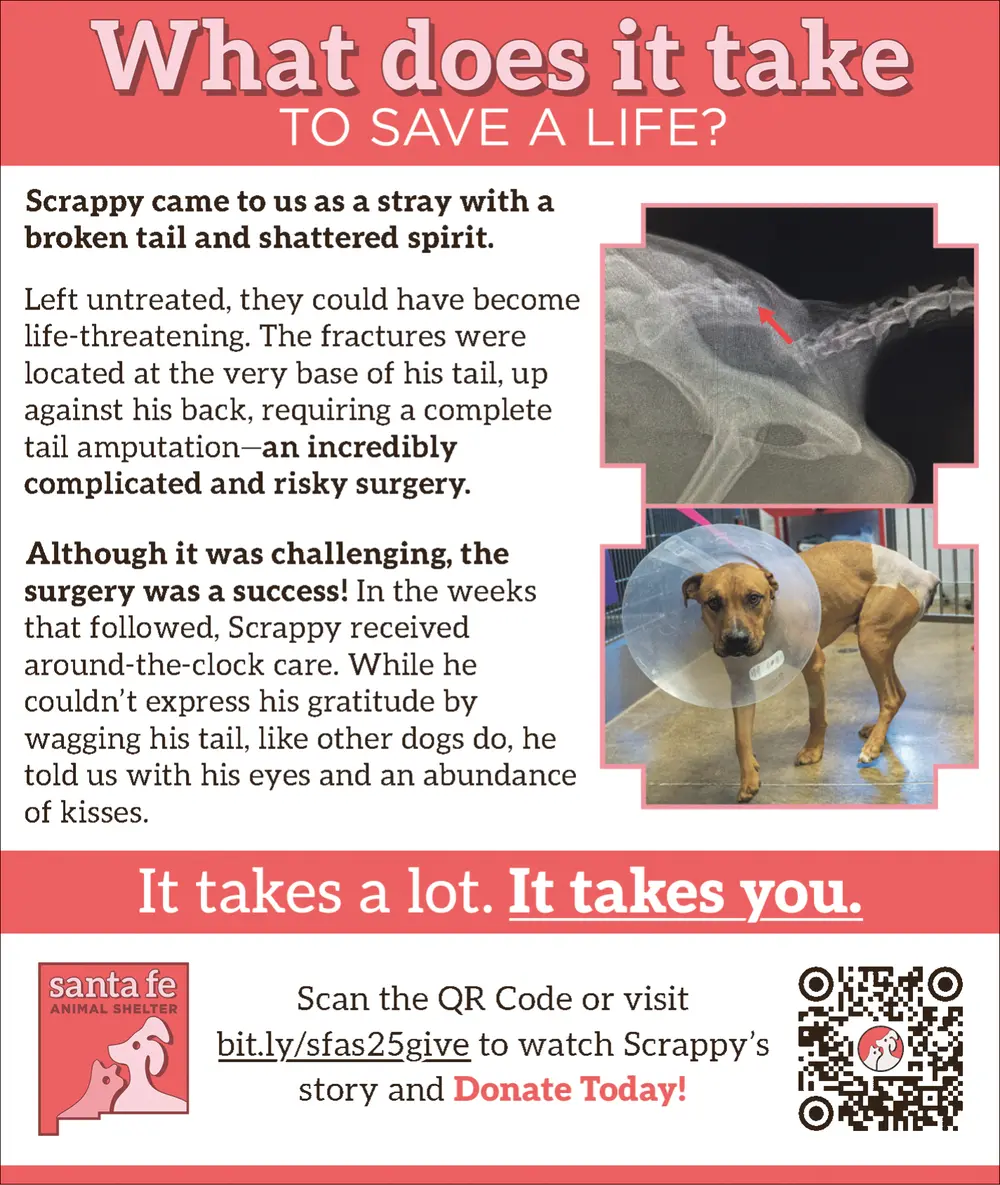 Santa Fe Animal Shelter - Santa Fe, New Mexico