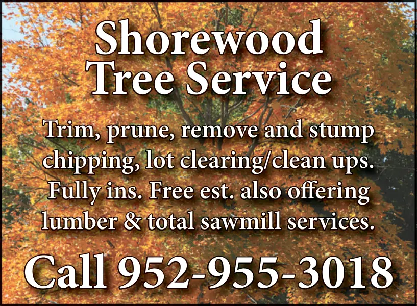 Tree Services in Central Minnesota