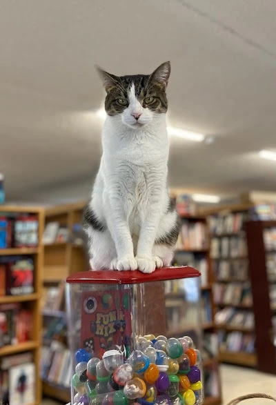 Cat Tales Bookstore & Midwest Pet Refuge