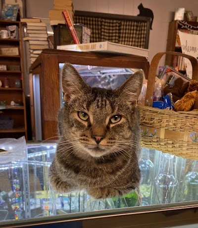Cat Tales Bookstore & Midwest Pet Refuge