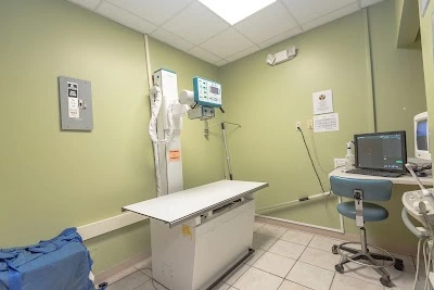 Care Animal Hospital