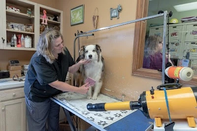 Care Animal Hospital
