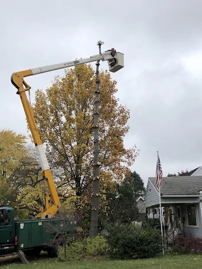 Specialty Tree Care