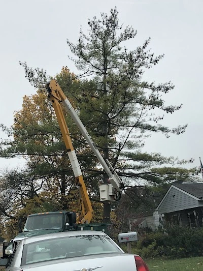 Specialty Tree Care