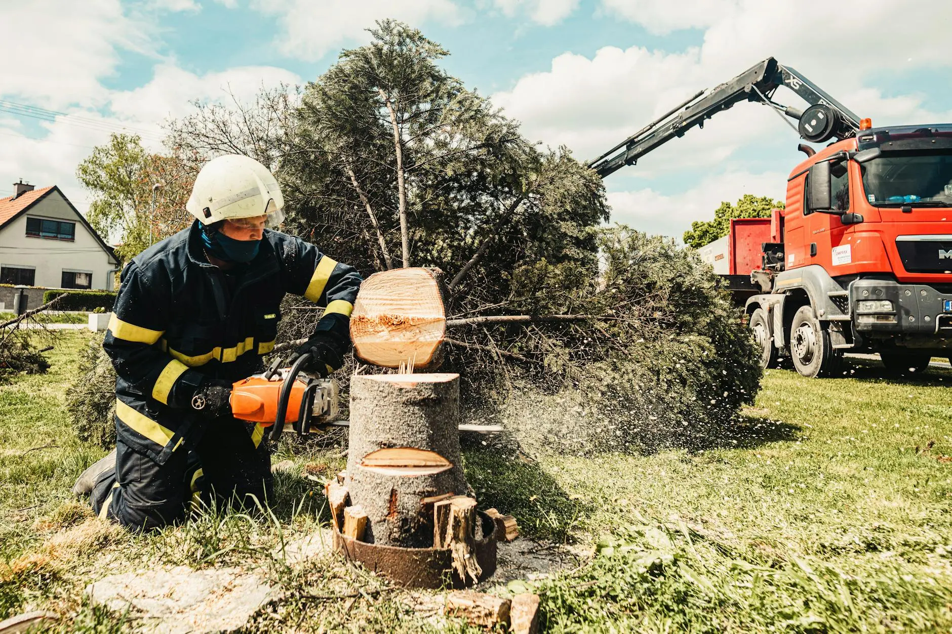 Steve's Trees LLC