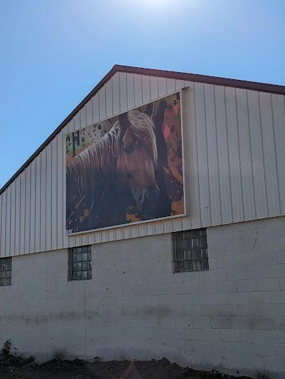 Laser Construction, LLC