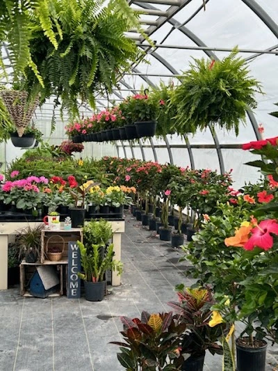 Birch Road Greenhouse