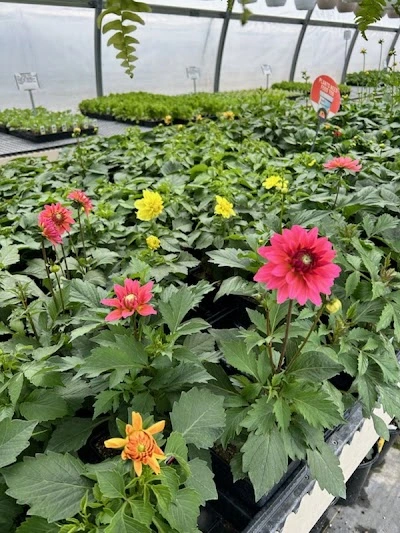 Birch Road Greenhouse