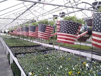 Birch Road Greenhouse