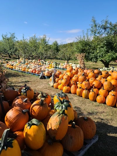 Phil's U-Pick Apple Orchard and Pumpkin Farm