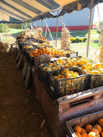 Phil's U-Pick Apple Orchard and Pumpkin Farm