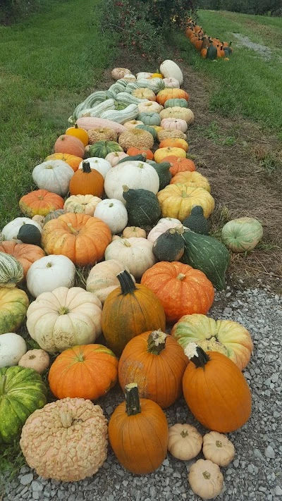 Phil's U-Pick Apple Orchard and Pumpkin Farm