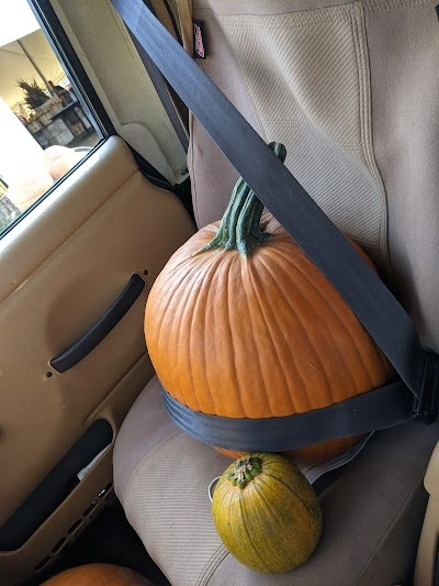 Phil's U-Pick Apple Orchard and Pumpkin Farm