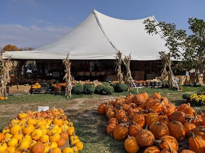 Phil's U-Pick Apple Orchard and Pumpkin Farm