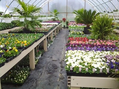 Birch Road Greenhouse