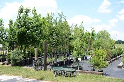 Birch Road Greenhouse