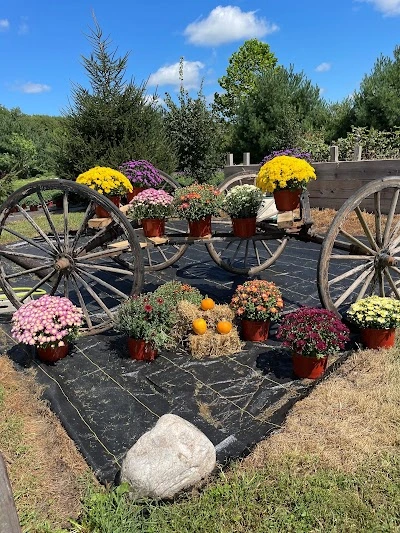 Country Market Greenhouse