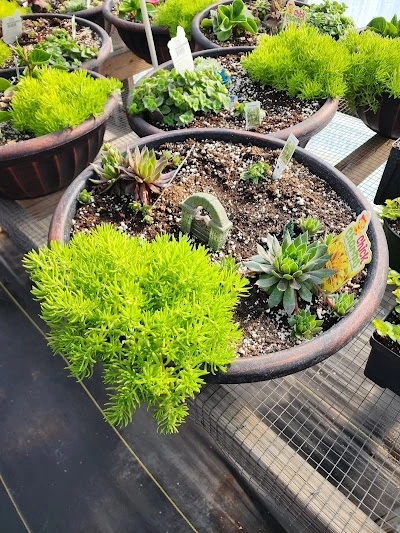 Country Market Greenhouse