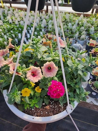Country Market Greenhouse