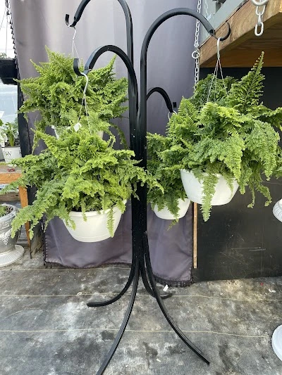 Country Market Greenhouse