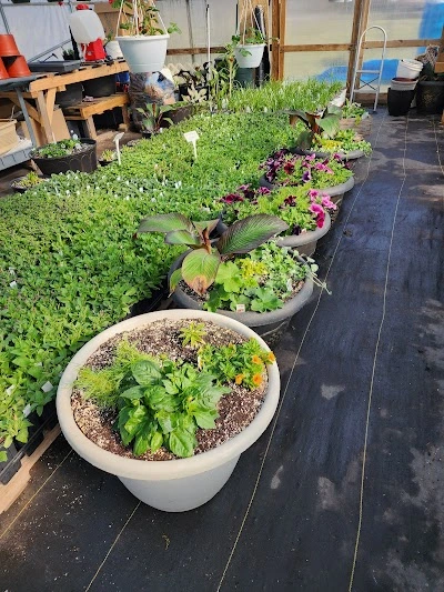 Country Market Greenhouse