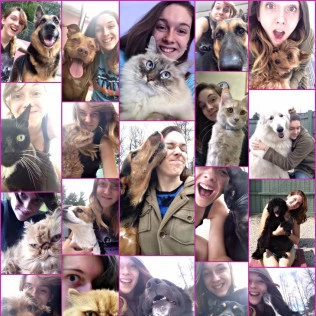 Animal Inn Of The Berkshires