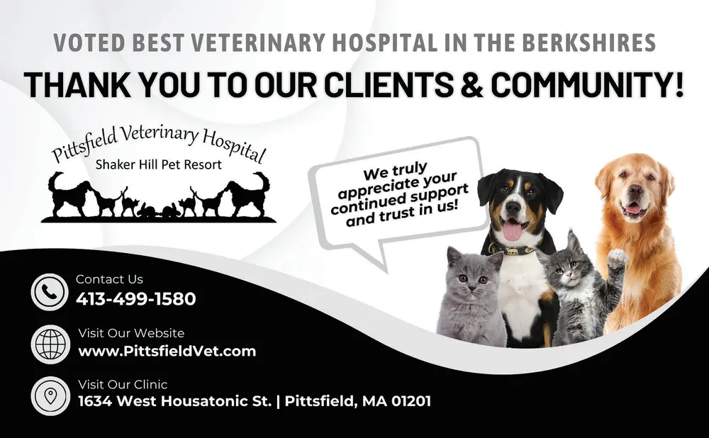  Winner: Best Veterinarian in The Berkshires
