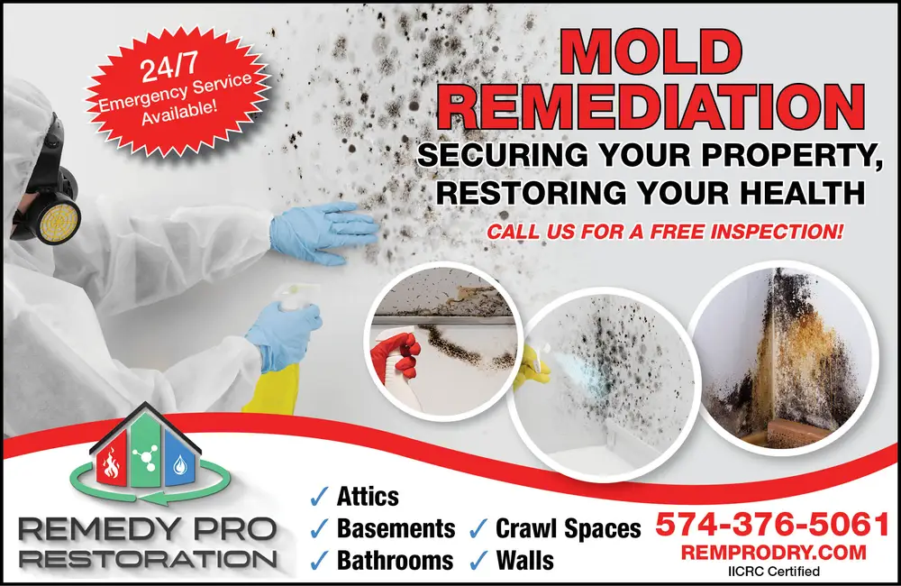 Professional Mold Removal in Warsaw, IN