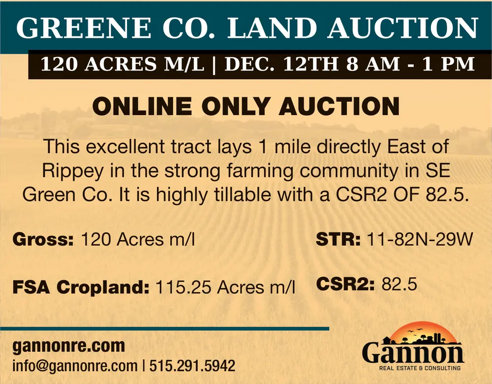 Expert Real Estate Consulting Services in Ames, Iowa