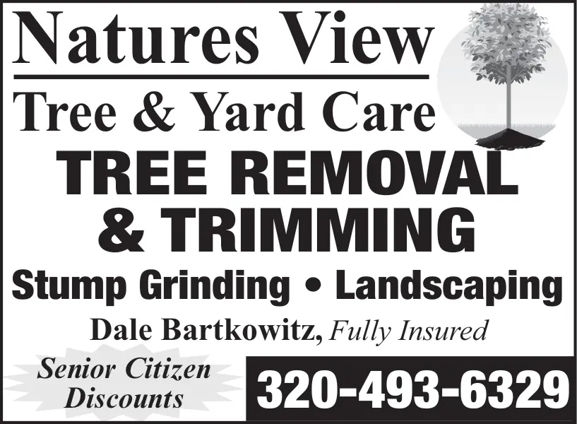 Professional Tree Removal and Trimming in Central Minnesota