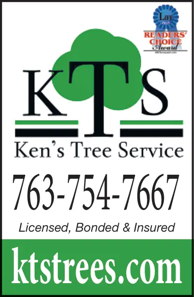 Professional Tree Service in Central Minnesota