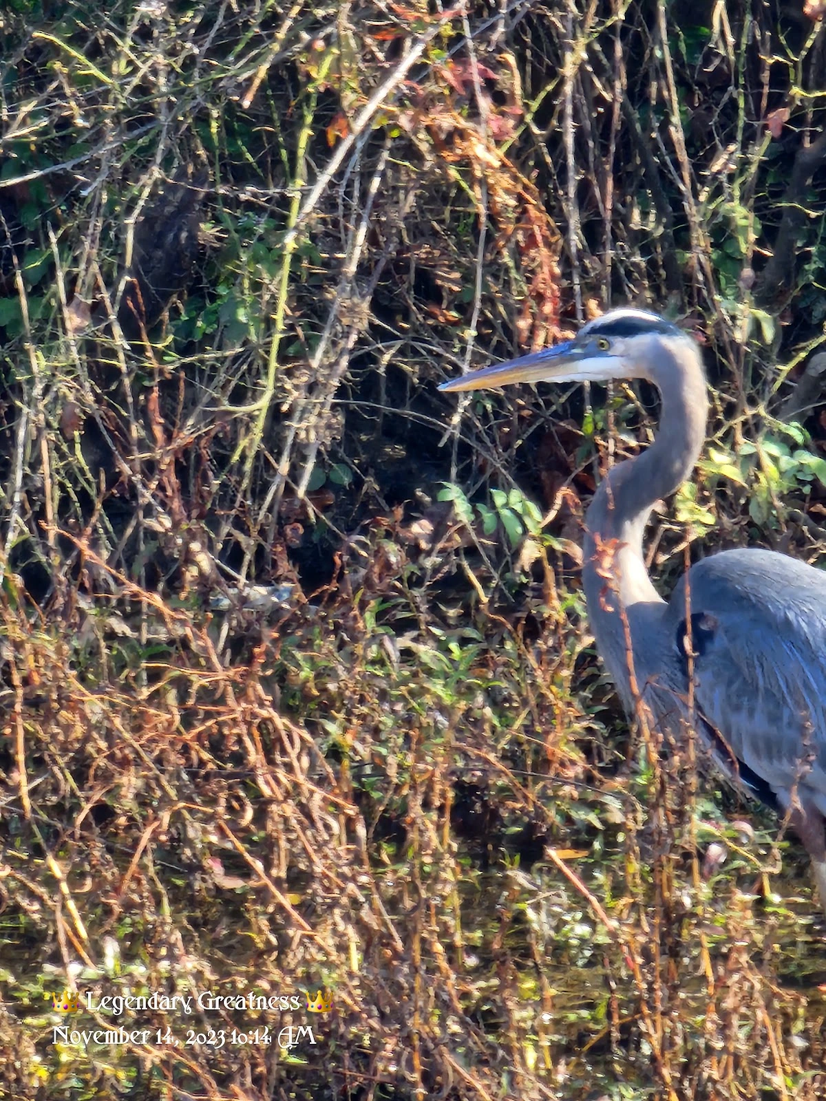 Friends of the Rappahannock