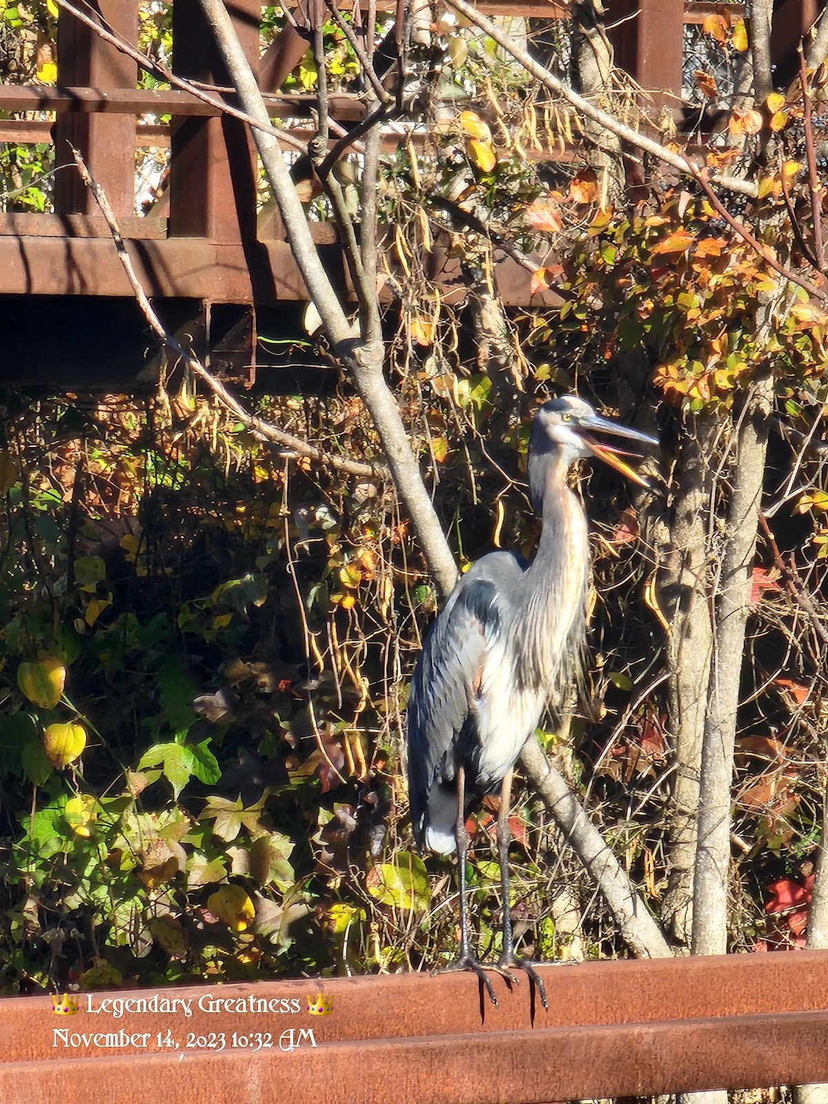 Friends of the Rappahannock