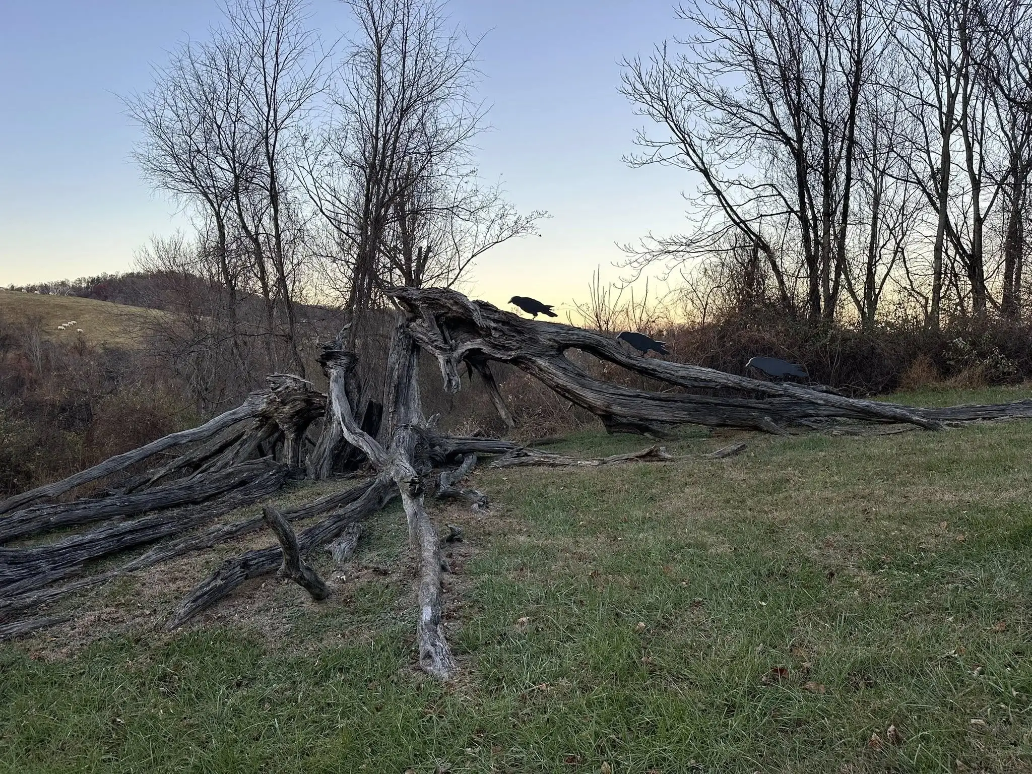 Rappahannock Nature Camp