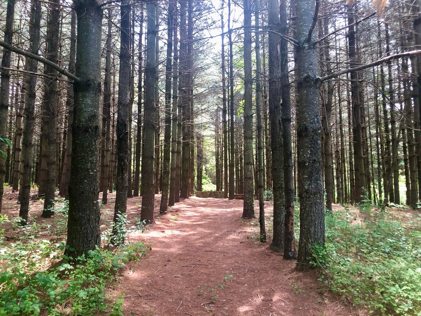 Verdun Adventure Bound