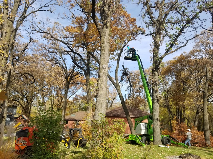 Pioneer Tree Service