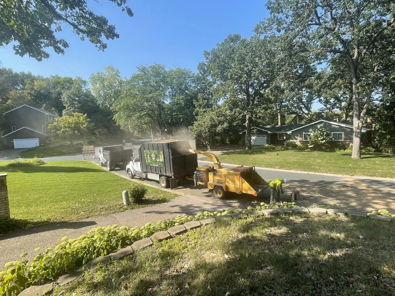 New Horizons Tree Experts