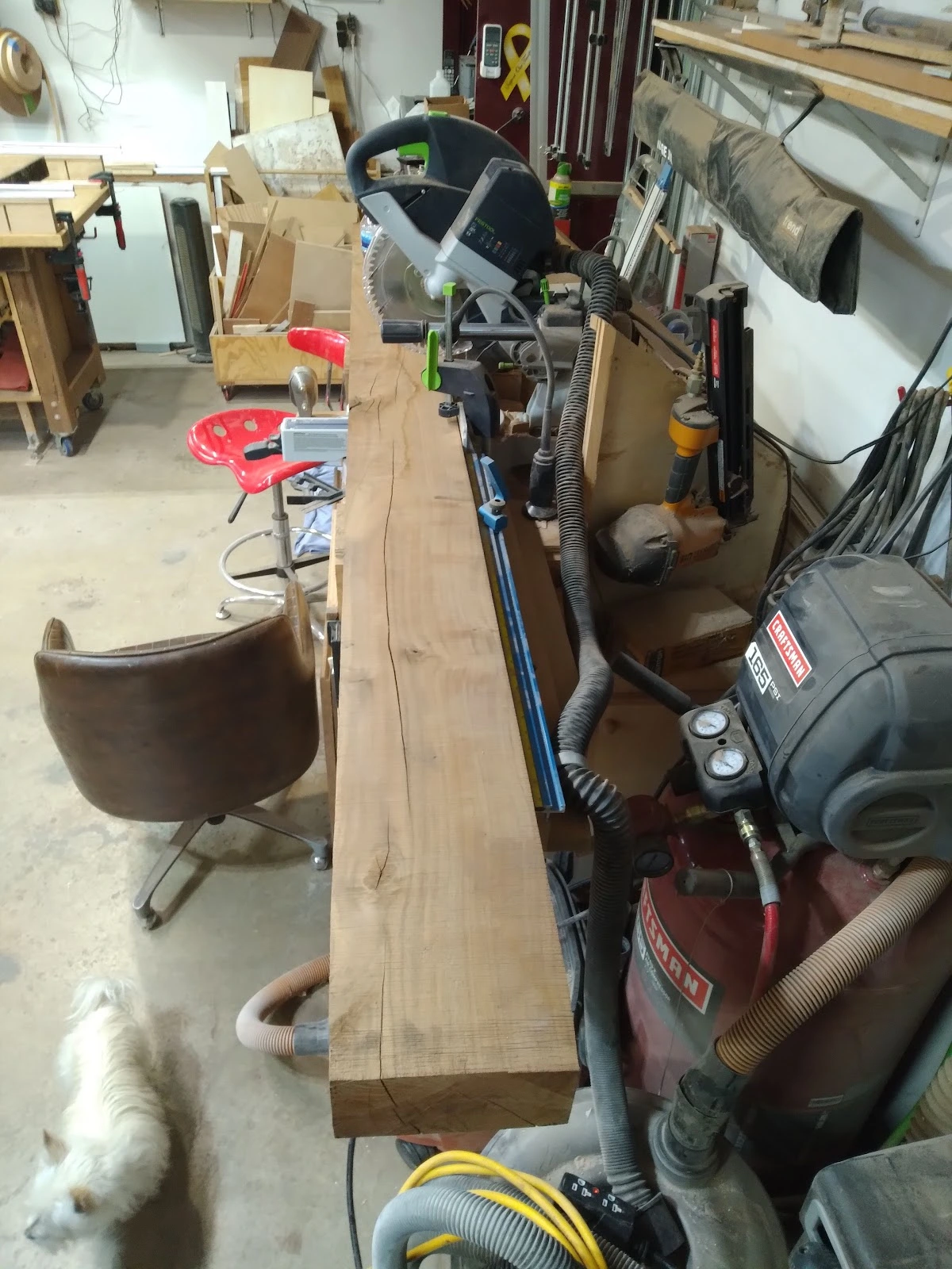 Shorewood Tree Service