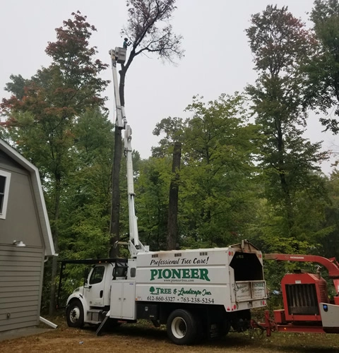 Pioneer Tree Service