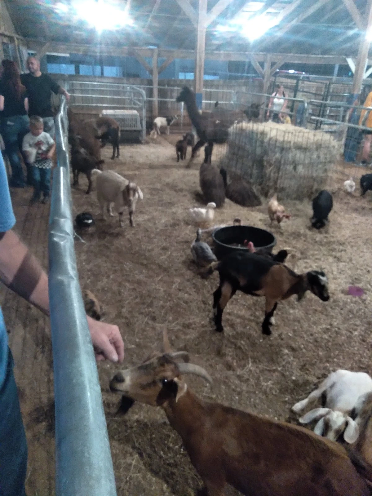 TN Classic Sportsman Show