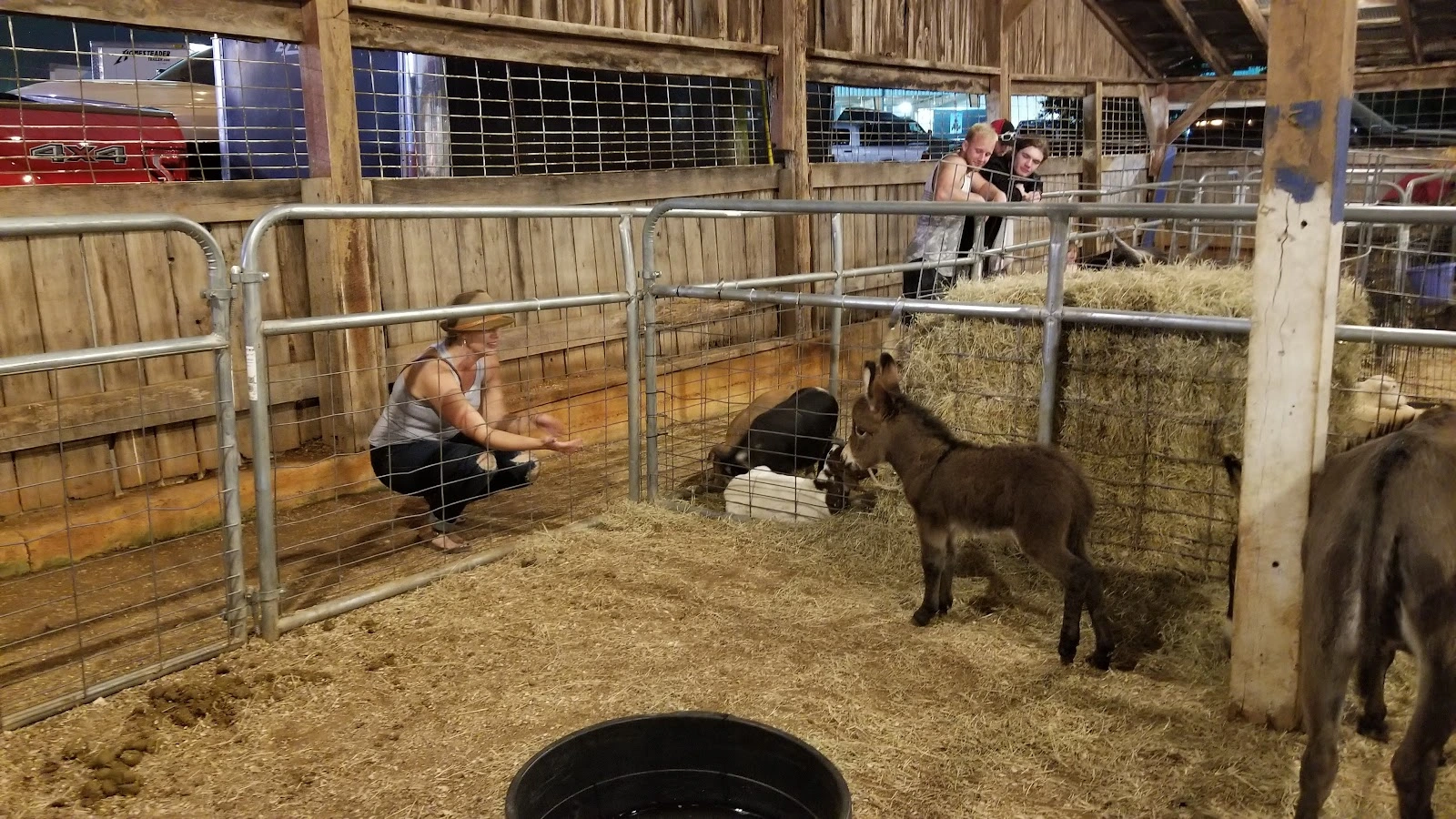 TN Classic Sportsman Show