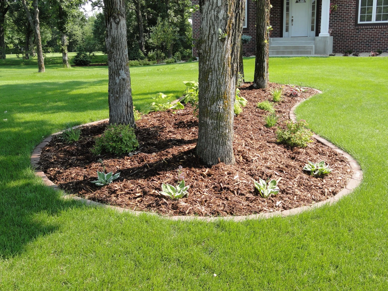 Natures View Tree & Yard Care