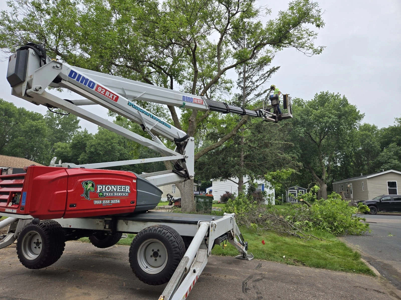 Pioneer Tree Service