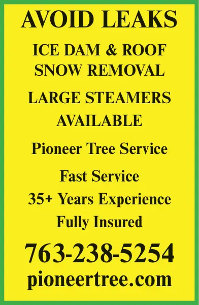 Professional Tree Care Services in Milaca, MN